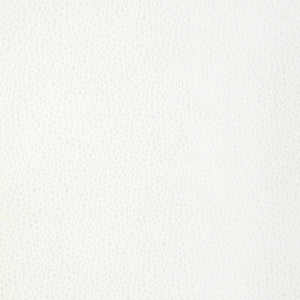 Tip The Scale Snow 36783.1.0 by Kravet Design Fabric