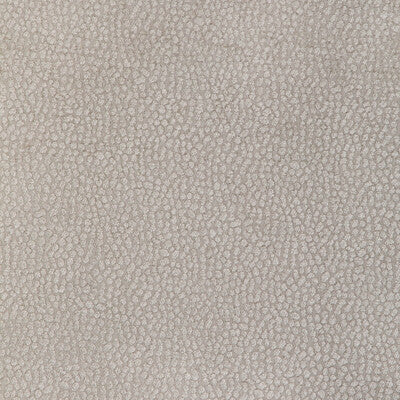 Kravet Design Upholstery 36812.11.0 Upholstery FILAMENT POLYESTER - 50%;POLYESTER CHENILLE - 50% India </p><p>Repeat: H: , V: 27.5 21 - My Fabric Connection -
