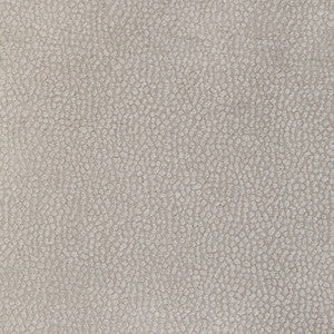 Pebble Chenille Putty 36812.11.0 by Kravet Design Fabric