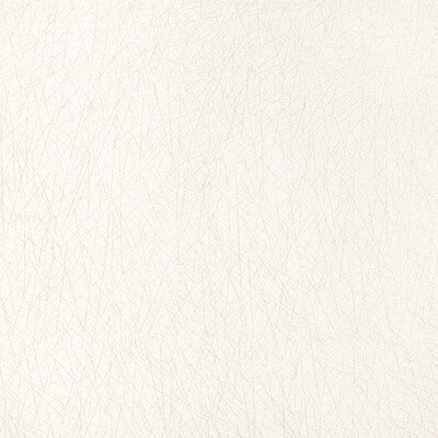Kravet Design Upholstery 36813.1.0 Upholstery POLYESTER - 52%;VISCOSE - 30%;COTTON - 18% India </p><p>Repeat: H: , V: 27.5 21 - My Fabric Connection -