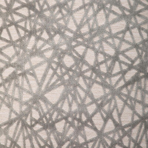Line Dancing Dove 36816.11.0 by Kravet Design Fabric