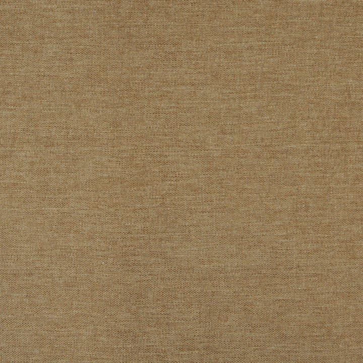 3681 Spring by Charlotte Fabric Ring Book Page #1 100% Woven Polyester Asia Exceeds 100,000 Wyzenbeek Rubs (Heavy Duty) No Repeat 54 Inches - Fabric Carolina -