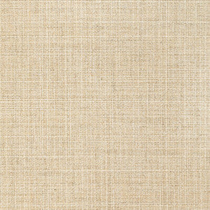 36821-16 by Kravet Fabric