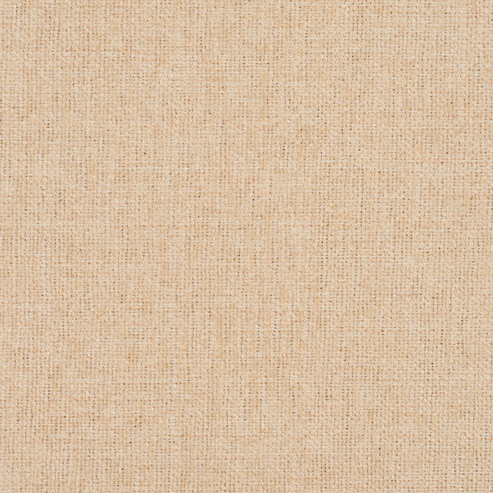 3683 Cream by Charlotte Fabric Ring Book Page #1 100% Woven Polyester Asia Exceeds 120,000 Wyzenbeek Rubs (Heavy Duty) </p><p>Repeat: 54 Inches - Fabric Carolina -