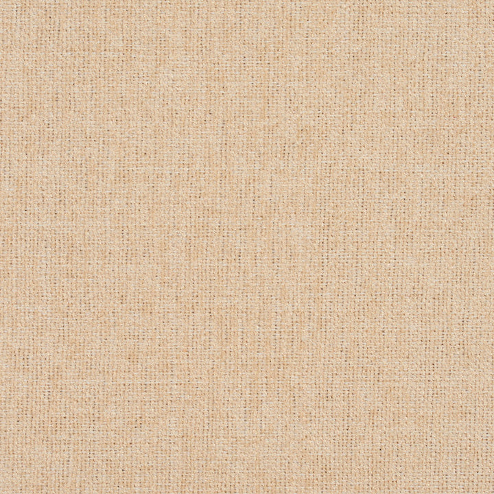 3683 Cream by Charlotte Fabric Ring Book Page #1 100% Woven Polyester Asia Exceeds 120,000 Wyzenbeek Rubs (Heavy Duty) </p><p>Repeat: 54 Inches - Fabric Carolina -