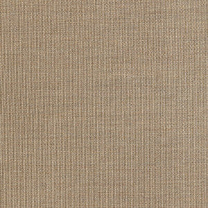 36843-1616 by Kravet Fabric