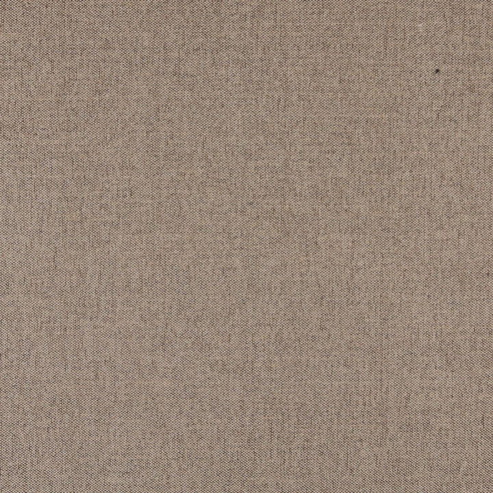 3684 Dune by Charlotte Fabric Ring Book Page #1 100% Woven Polyester Asia Exceeds 100,000 Wyzenbeek Rubs (Heavy Duty) No Repeat 54 Inches - Fabric Carolina -