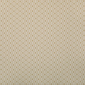 Kravet Design 36875-116 36875.116.0 by Kravet Design Fabric