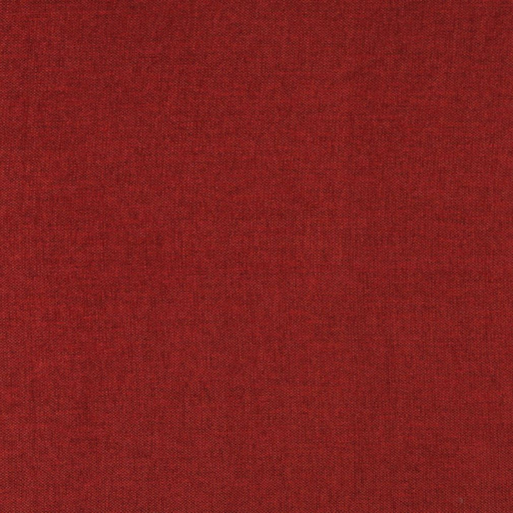 3687 Spice by Charlotte Fabric Ring Book Page #1 100% Woven Polyester Asia Exceeds 100,000 Wyzenbeek Rubs (Heavy Duty) No Repeat 54 Inches - Fabric Carolina -