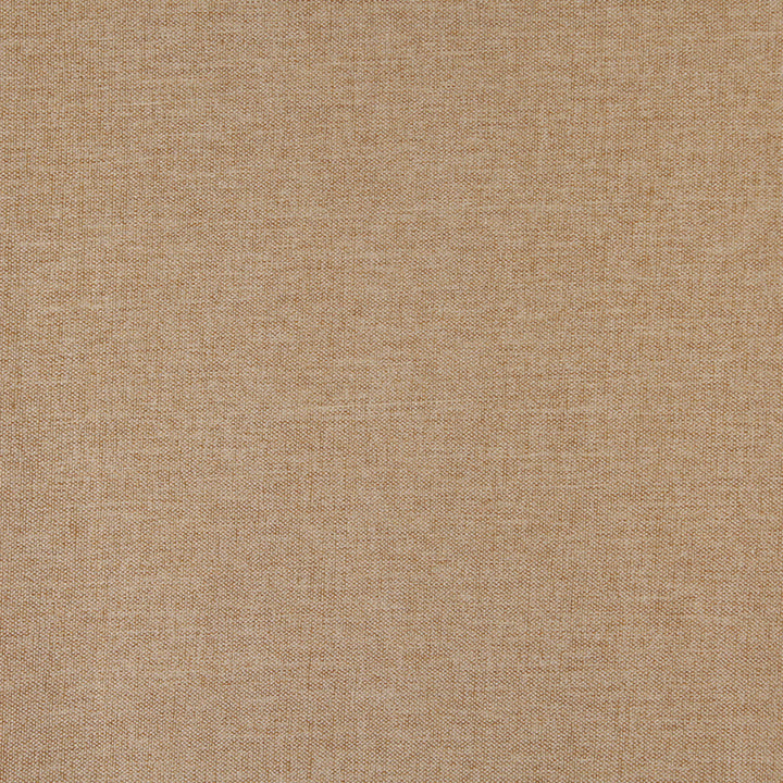 3688 Wheat by Charlotte Fabric Ring Book Page #1 100% Woven Polyester Asia Exceeds 100,000 Wyzenbeek Rubs (Heavy Duty) No Repeat 54 Inches - Fabric Carolina -
