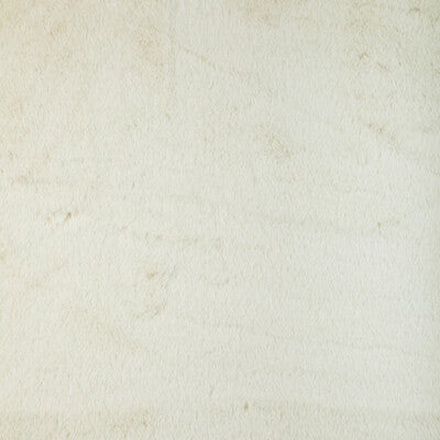 Kravet Basics Multipurpose 36896.1.0 Multipurpose POLYESTER - 100% China </p><p>Repeat: H: , V: 27.5 21 - My Fabric Connection -