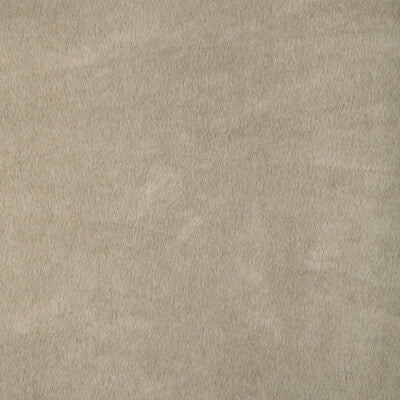 Kravet Basics Upholstery 36897.16.0 Upholstery POLYESTER - 100% China </p><p>Repeat: H: , V: 27.5 21 - My Fabric Connection -