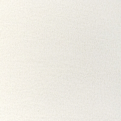 Kravet Couture - Upholstery - 36924.101.0 - Upholstery - SOLUTION DYED ACRYLIC - 100% - Italy </p><p>Repeat: H: , V: 27.5 21 - My Fabric Connection -