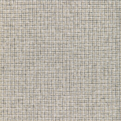 Kravet Basics Upholstery 36950.1611.0 Upholstery POLYESTER - 54%;POLYESTER CHENILLE - 46% India </p><p>Repeat: H: , V: 27.5 21 - My Fabric Connection -