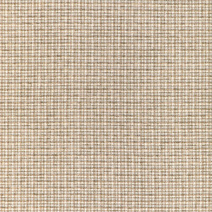 Aria Check Rattan 36950.16.0 by Kravet Basics Fabric