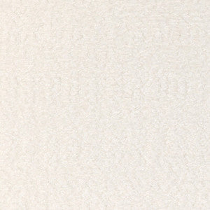 Kravet Smart 36984-101 36984.101.0 by Kravet Smart Fabric