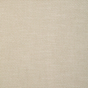 Kravet Smart 36999-116 36999.116.0 by Kravet Smart Fabric