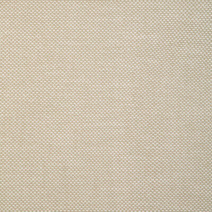 Kravet Smart 36999-116 36999.116.0 by Kravet Smart Fabric