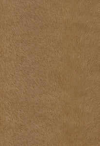 Pony Mustang 370-3155 by Schumacher Fabric