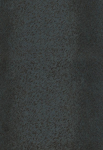 Pony Ebony 370-5861 by Schumacher Fabric