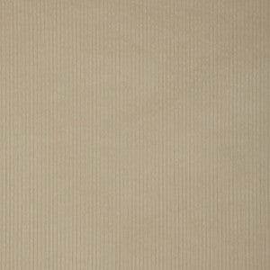Kravet Smart 37006-1116 37006.1116.0 by Kravet Smart Fabric