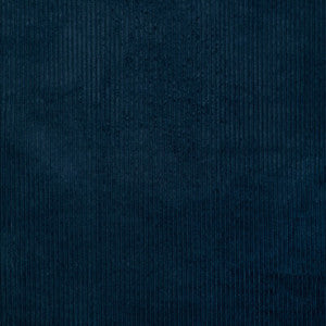 Kravet Smart 37006-505 37006.505.0 by Kravet Smart Fabric