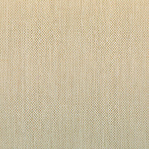 Kravet Smart 37016-166 37016.166.0 by Kravet Smart Fabric