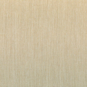 Kravet Smart 37016-166 37016.166.0 by Kravet Smart Fabric