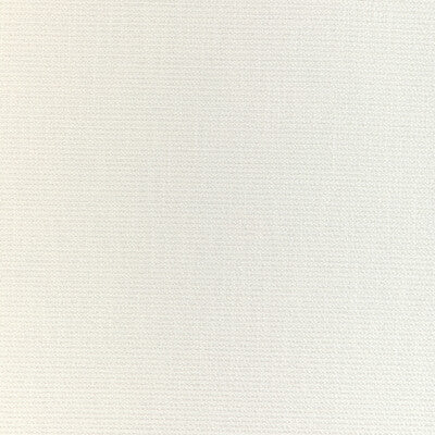 Kravet Design Upholstery 37049.101.0 Upholstery HIGH UV POLYESTER - 100% United States </p><p>Repeat: H: , V: 27.5 21 - My Fabric Connection -