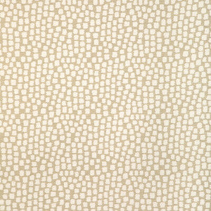 Step Above Chablis 37062.16.0 by Kravet Design Fabric