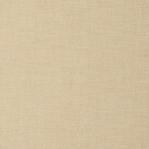 Kravet Smart 37080-116 37080.116.0 by Kravet Smart Fabric