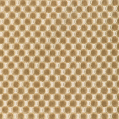 Kravet Design Upholstery 37165.1116.0 Upholstery POLYESTER - 100% India </p><p>Repeat: H: , V: 27.5 21 - My Fabric Connection -
