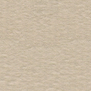 Sparkling Chinchilla by Kravet Basics Fabric
