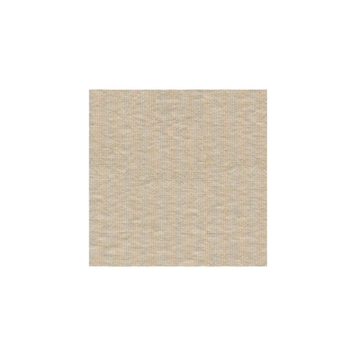 Sparkling Chinchilla by Kravet Basics Fabric PERFECT PLAINS POLYESTER - 60%;VISCOSE - 40% India - Horizontal: - and Vertical: - 54 - Fabric Carolina -