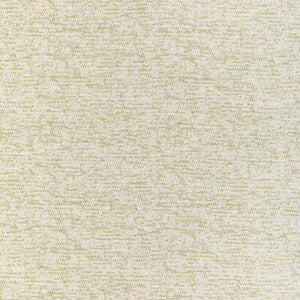 Softbed Cactus 37256.23.0 by Kravet Couture Fabric