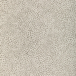 Pitterpatter Feather 37258.21.0 by Kravet Couture Fabric