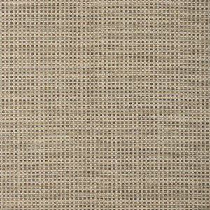 Kravet Smart 37295-166 37295.166.0 by Kravet Smart Fabric