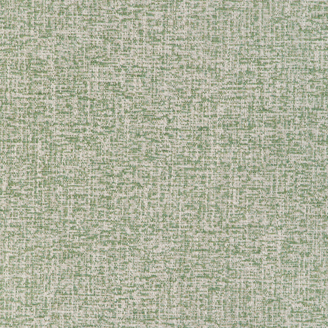 Esteban - Leaf By Kravet Basics Fabric