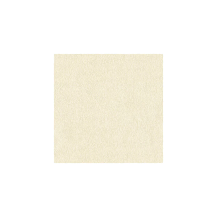 3740-1116 by Kravet Basics Fabric POLYESTER - 100% Turkey Horizontal: and Vertical: 118 - Fabric Carolina -