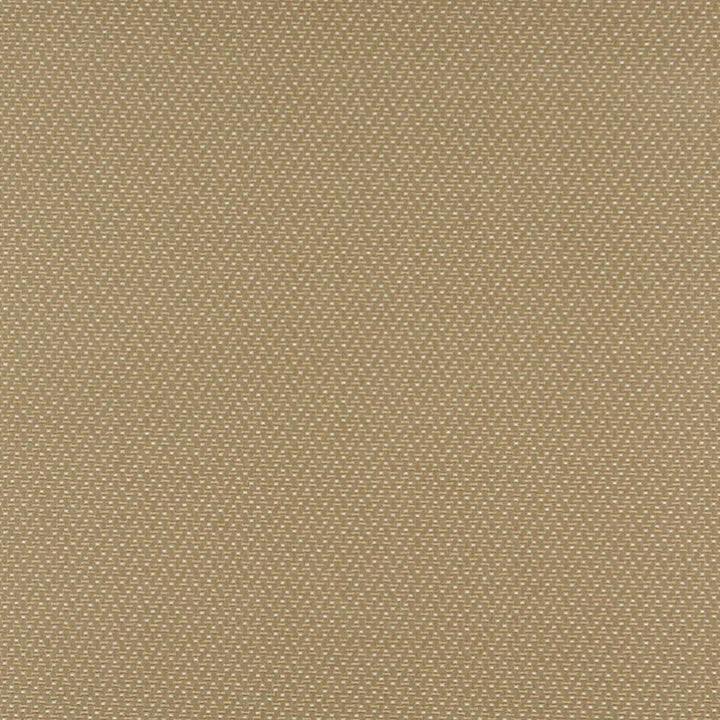 3743 Ecru by Charlotte Fabric Decorative Durables XII & Ring Book Page 35A 52% Olefin, 48% Polyester Made In USA Exceeds 150,000 Wyzenbeek Rubs (Heavy Duty) Horizontal: .5" x Vertical: .5" 54 Inches - Fabric Carolina -