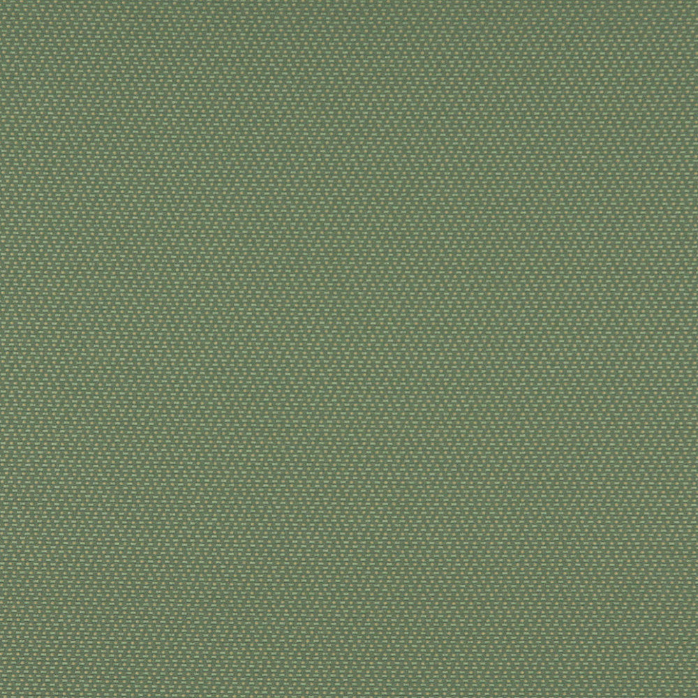 3745 Meadow by Charlotte Fabric Decorative Durables XII & Ring Book Page 35A 52% Olefin, 48% Polyester Made In USA Exceeds 150,000 Wyzenbeek Rubs (Heavy Duty) Horizontal: .5" x Vertical: .5" 54 Inches - Fabric Carolina -