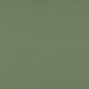 3745 Meadow by Charlotte Fabric