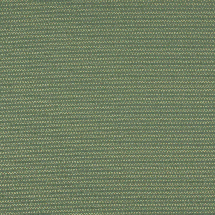 3745 Meadow by Charlotte Fabric Decorative Durables XII & Ring Book Page 35A 52% Olefin, 48% Polyester Made In USA Exceeds 150,000 Wyzenbeek Rubs (Heavy Duty) </p><p>Repeat: Horizontal: .5" x Vertical: .5" 54 Inches - Fabric Carolina -