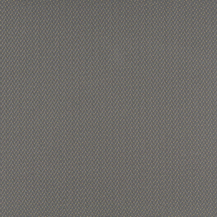 3746 Pewter by Charlotte Fabric Decorative Durables XII & Ring Book Page 35A 52% Olefin, 48% Polyester Made In USA Exceeds 150,000 Wyzenbeek Rubs (Heavy Duty) Horizontal: .5" x Vertical: .5" 54 Inches - Fabric Carolina -