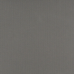 3746 Pewter by Charlotte Fabric