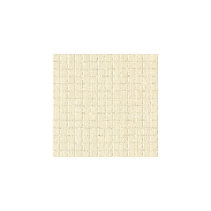 3747-111 by Kravet Basics Fabric - POLYESTER - 100% Turkey - Horizontal: - and Vertical: - 118 - Fabric Carolina -