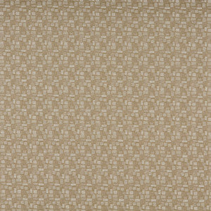 3751 Shell by Charlotte Fabric