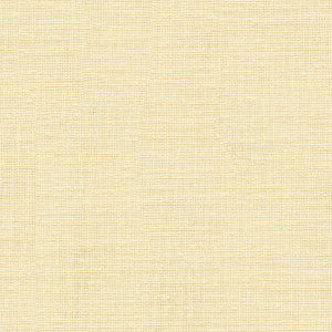 Kravet Basics 3752-1 by Kravet Basics Fabric