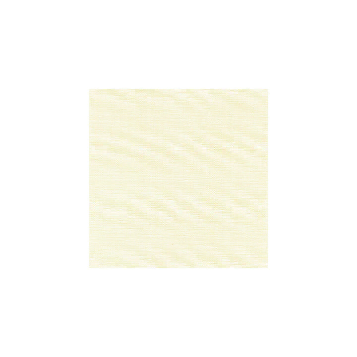 3756-1 by Kravet Basics Fabric POLYESTER - 100% Turkey Horizontal: and Vertical: 118 - Fabric Carolina -
