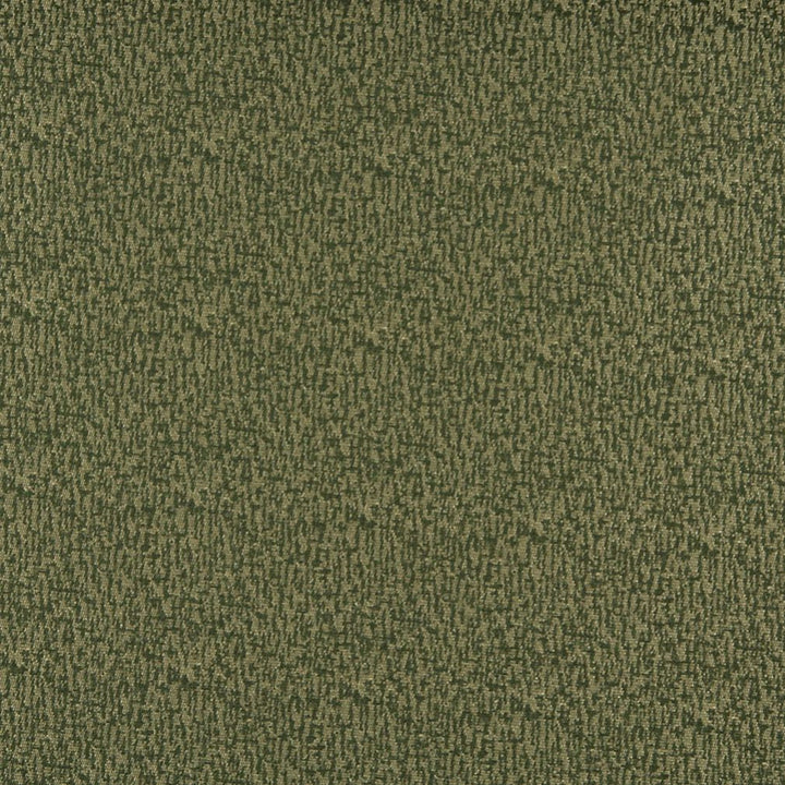 3765 Avocado by Charlotte Fabric Decorative Durables XI 80% Polyester, 20% Olefin Made In USA Exceeds 150,000 Wyzenbeek Rubs (Heavy Duty) </p><p>Repeat: No Repeat 54 Inches - Fabric Carolina -